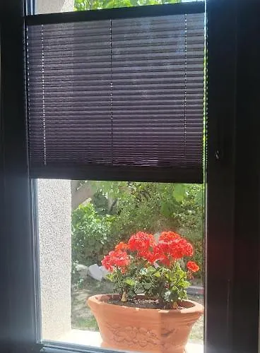 Picasso Habitación en casa particular Çeşme