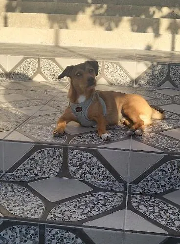 Habitación en casa particular Picasso *